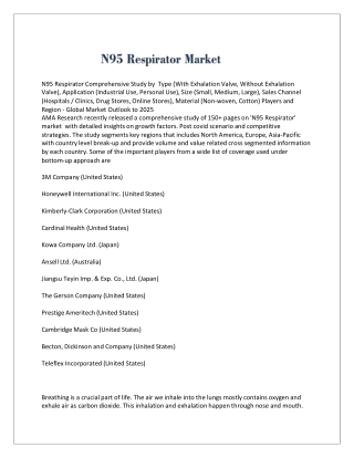 N95 Respirator Market
