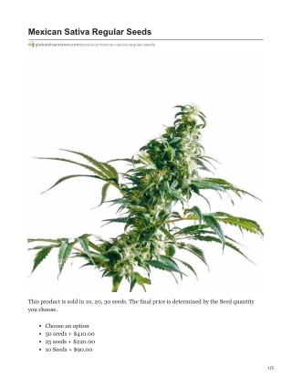 Mexican Sativa Regular Seeds