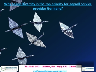 Why today Diversity is the top priority for payroll service provider Germany