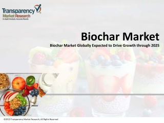 Biochar Market