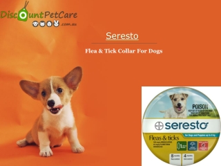 Buy Seresto Flea and Tick Collar For Dogs Online - DiscountPetCare