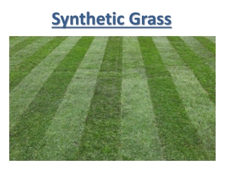 Synthetic Grass Dubai