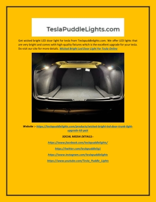 Wicked Bright LED Door Light for Tesla Online  Teslapuddlelights.com