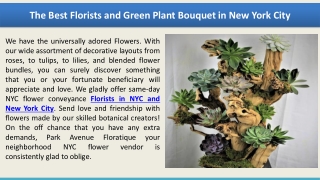 The Best Florists and Green Plant Bouquet in New York City