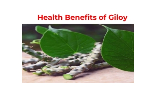 Health Benefits of Giloy