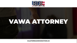 Select the best vawa attorney with free consultant in USA at Brian D Lerner