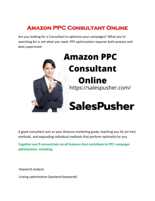Amazon PPC Consultant Online