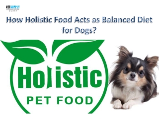 How Holistic Food Acts as a Balanced Diet for Dogs| VetSupply | Australia Best o