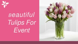 Beautiful Tulips To Gift  For Event-converted