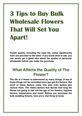 3 Tips to Buy Bulk Wholesale Flowers That Will Set You Apart!