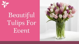 Beautiful Tulips To Gift  For Event