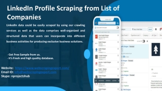 LinkedIn Profile Scraping from List of Companies