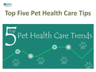 Top Five Pet Health Care Trends| VetSupply | Australia Best online Pet store