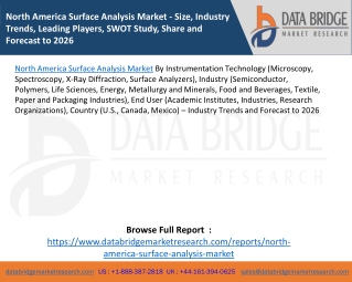 North America Surface Analysis Market - Size, Industry Trends, Leading Players, SWOT Study, Share and Forecast to 2026