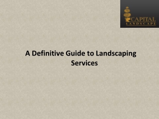 A Definitive Guide to Landscaping Services