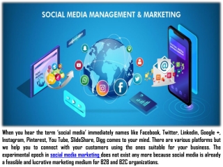 Best Social Media Marketing Agency Florida