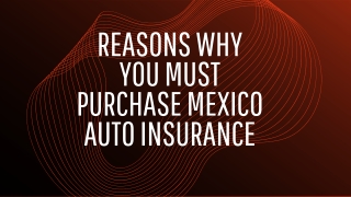 Reasons why you must purchase Mexico auto insurance