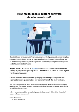 How Much Does a Custom Software Development Cost?