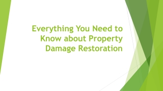 Fire & Water Damage Restoration Aventura, Mold Remediation | Disastpro