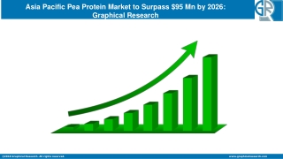 Pea Protein Market Statistics in APAC 2020 | Trend & Growth Forecast To 2026
