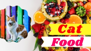 Which Fruits Can Cats Eat  not eat 2021 ! Cat Health Tips ! Pet Care