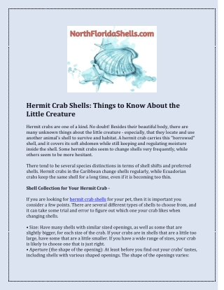 Hermit Crab Shells: Things to Know About the Little Creature