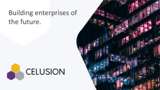Unified Account Opening_Celusion Technologies