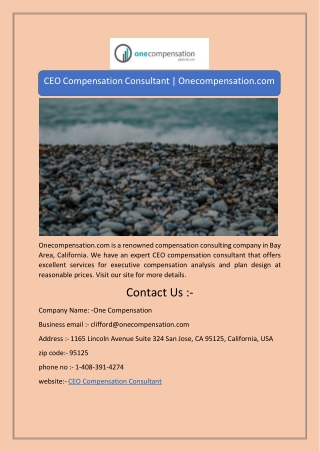 CEO Compensation Consultant | Onecompensation.com