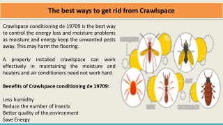 The best ways to get rid from Crawlspace