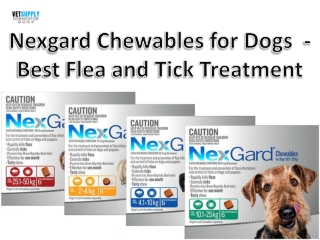 Nexgard Chewables for Dogs - Killing Fleas and Tick Effectively| VetSupply | Aus