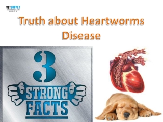 3 Strong Facts that Will Tell you the Truth about Heartworm Disease| VetSupply |