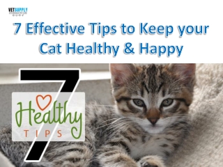 7 Effective Tips to Keep Your Tabby Healthy Happy| VetSupply | Australia Best on