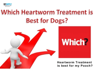 Which Heartworm Treatment is best for your dog?| VetSupply | Australia Best onli