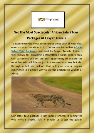 Get The Most Spectacular African Safari Tour Packages At Fayyaz Travels