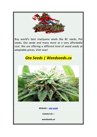 Gta Seeds  Weedseeds.ca