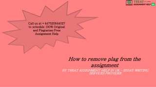 How to remove plag from the assignment?