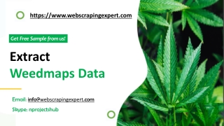 Extract Weedmaps Data