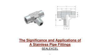 Stainless Steel Pipe Fittings Manufacturers