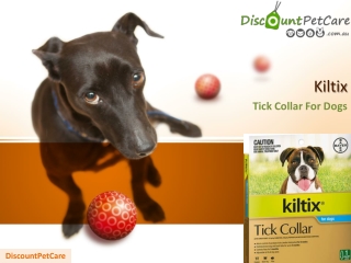 Buy Kiltix Tick Collar For Dogs Online - DiscountPetCare