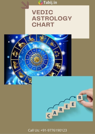 Vedic astrology chart interpretation to get career advice
