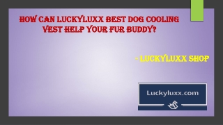How Can LuckyLuxx Best Dog Cooling Vest Help Your Fur Buddy