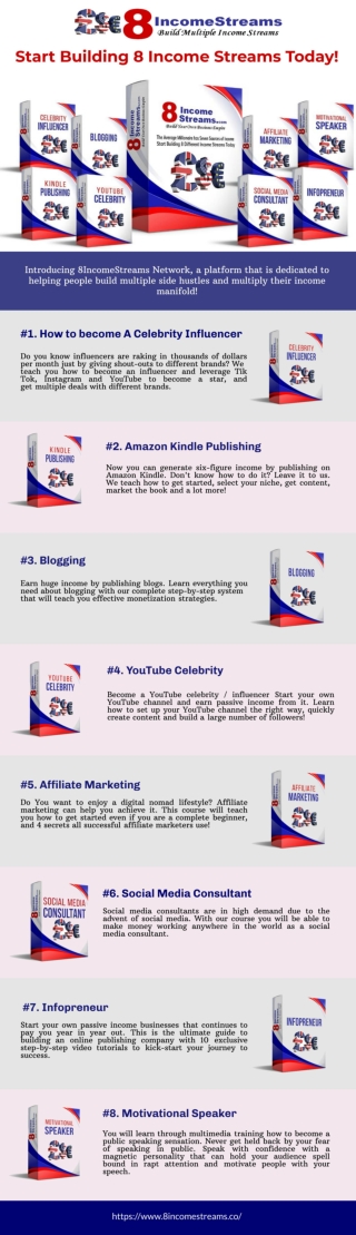 Building 8 Income Streams infographic