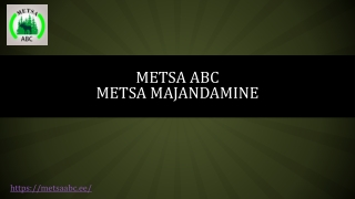 Metsa Majandamine | Metsa ABC