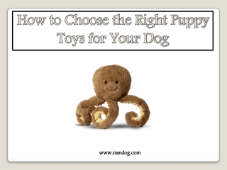 How to Choose the Right Puppy Toys for Your Dog