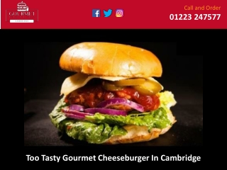 Too Tasty Gourmet Cheeseburger In Cambridge