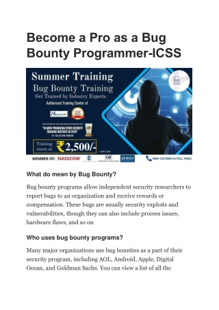 Become a Pro as a Bug Bounty Programmer