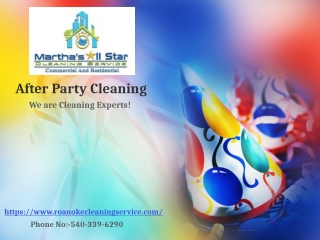 After Party Cleaning