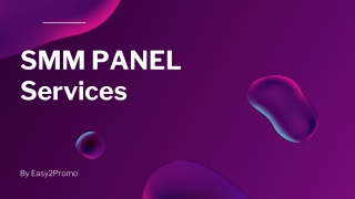 SMM Panel Services