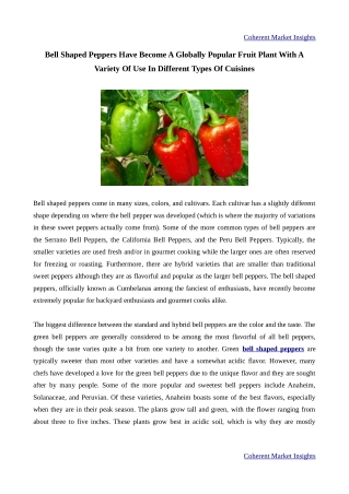 Bell Shaped Peppers Are Vegetables Used For Culinary Purposes