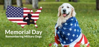 Remembering Military Dogs Memorial Day